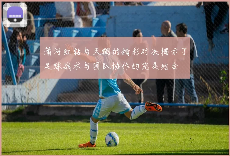 蒲河红钻与天鹅的精彩对决揭示了足球战术与团队协作的完美结合