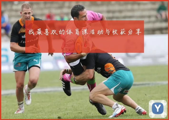 我最喜欢的体育课活动与收获分享